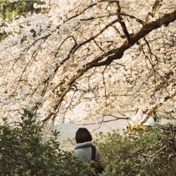 Lightness&Irresponsibility