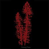 Flaming Pines