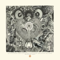 nitelite_megrez_backcover