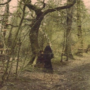 We Are! Hills! Wooden Houses! Run!