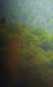 justin scott adult music