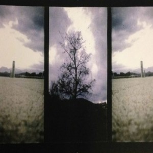 A mutation and a madness