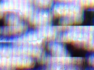 tapiwa tranformations