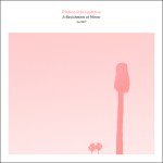 pinkcourtesyphone a ravishment of mirror