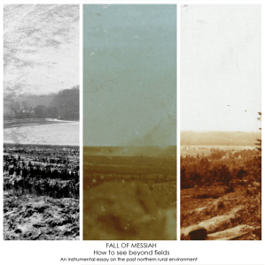 FALL OF MESSIAH - How to see beyond fields - cover