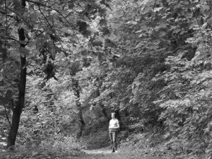 phirnis in the forest