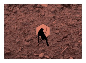 The Afternoon Vision