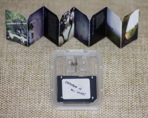 Overheard in Doi Saket