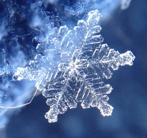Snowflake iPhone