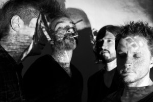 02 OISEAUX-TEMPETE 2015 photo Pamela Maddaleno