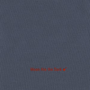 Moon Ate the Dark II