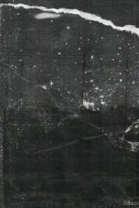 Blood Feud - AM Fields