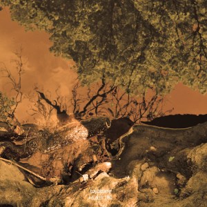 TOY-BIZARRE-kdi-dctb180