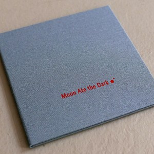 sonicpieces022_photoH