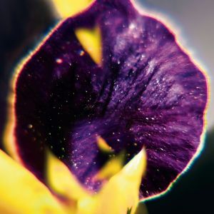 fis-from-patterns-to-details