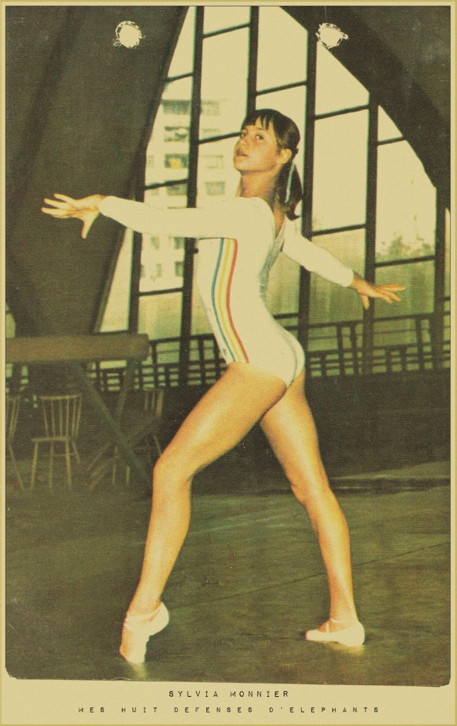 mes-huit-defenses-delephants