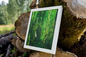 forresta-bass-space-time-record-06