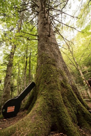 tumblr_odrla7iepq1sqhctho1_500