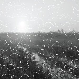 soundscapes-of-summer