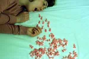 flamingo1%e2%88%8fjana-sotzko