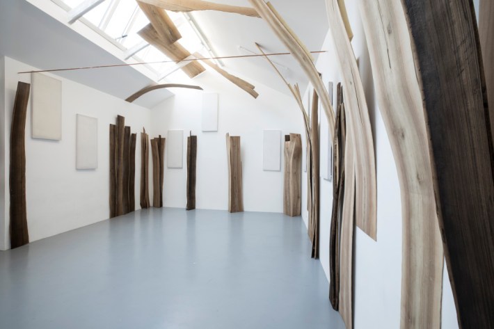 5O0A6872-copia-1024x683