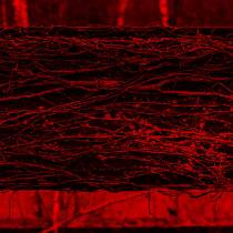 Ruins Corrado Maria De Santis