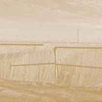 Long Drove Album Cover